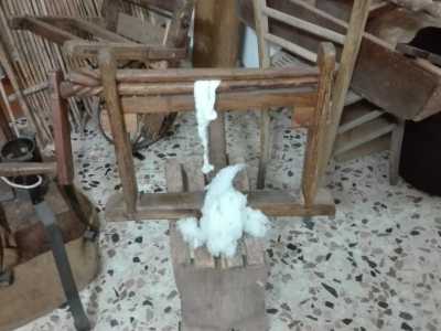 Particolare � l�apparecchio per la pulitura dei fiori di cotone, costituto da assi distanziati che stretti con una manovella schiacciavano il fiore